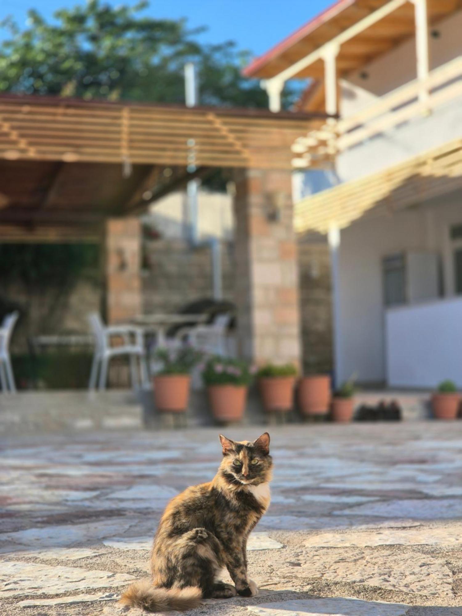 Villa Josana Sarandë 외부 사진