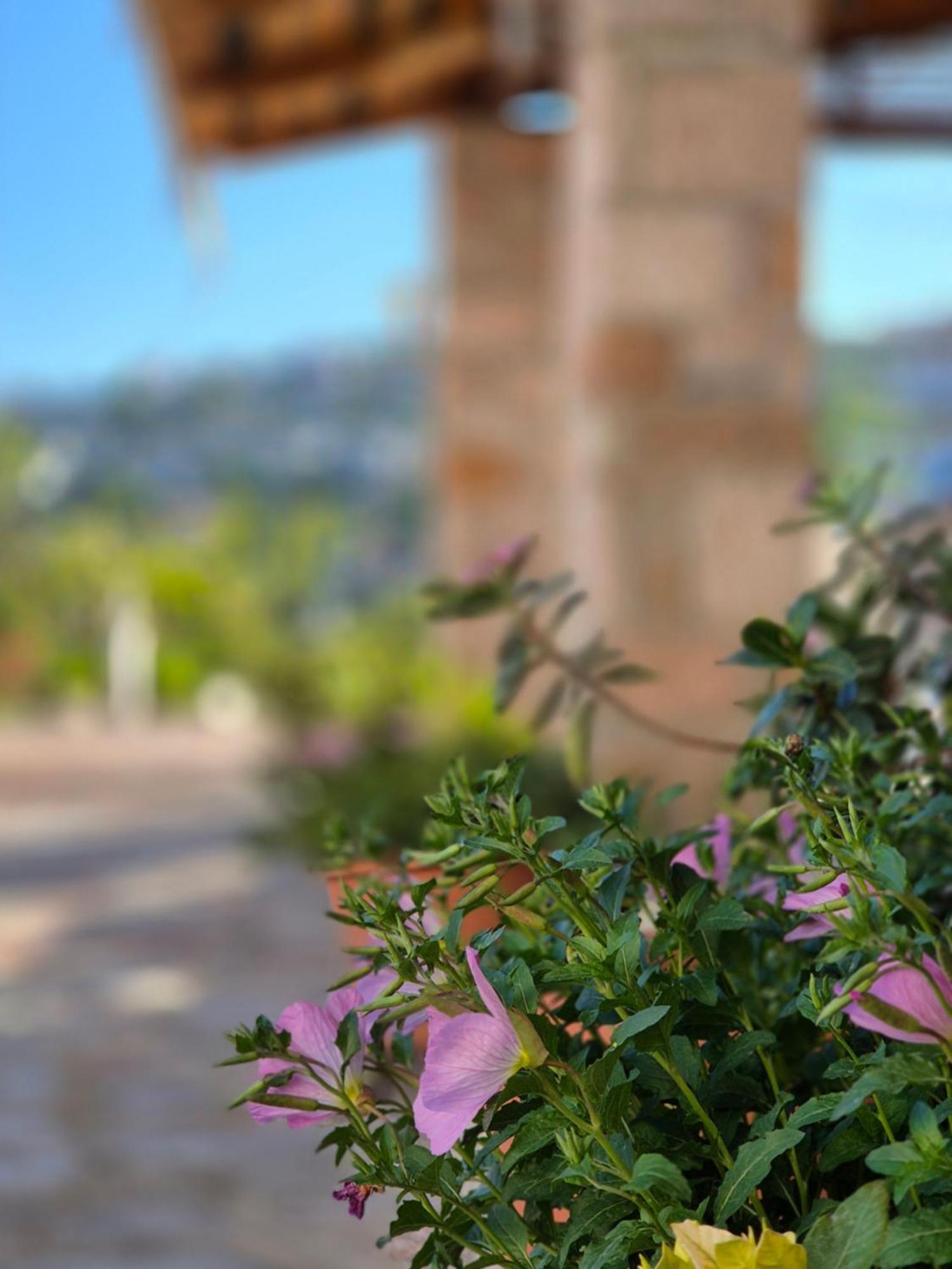 Villa Josana Sarandë 외부 사진
